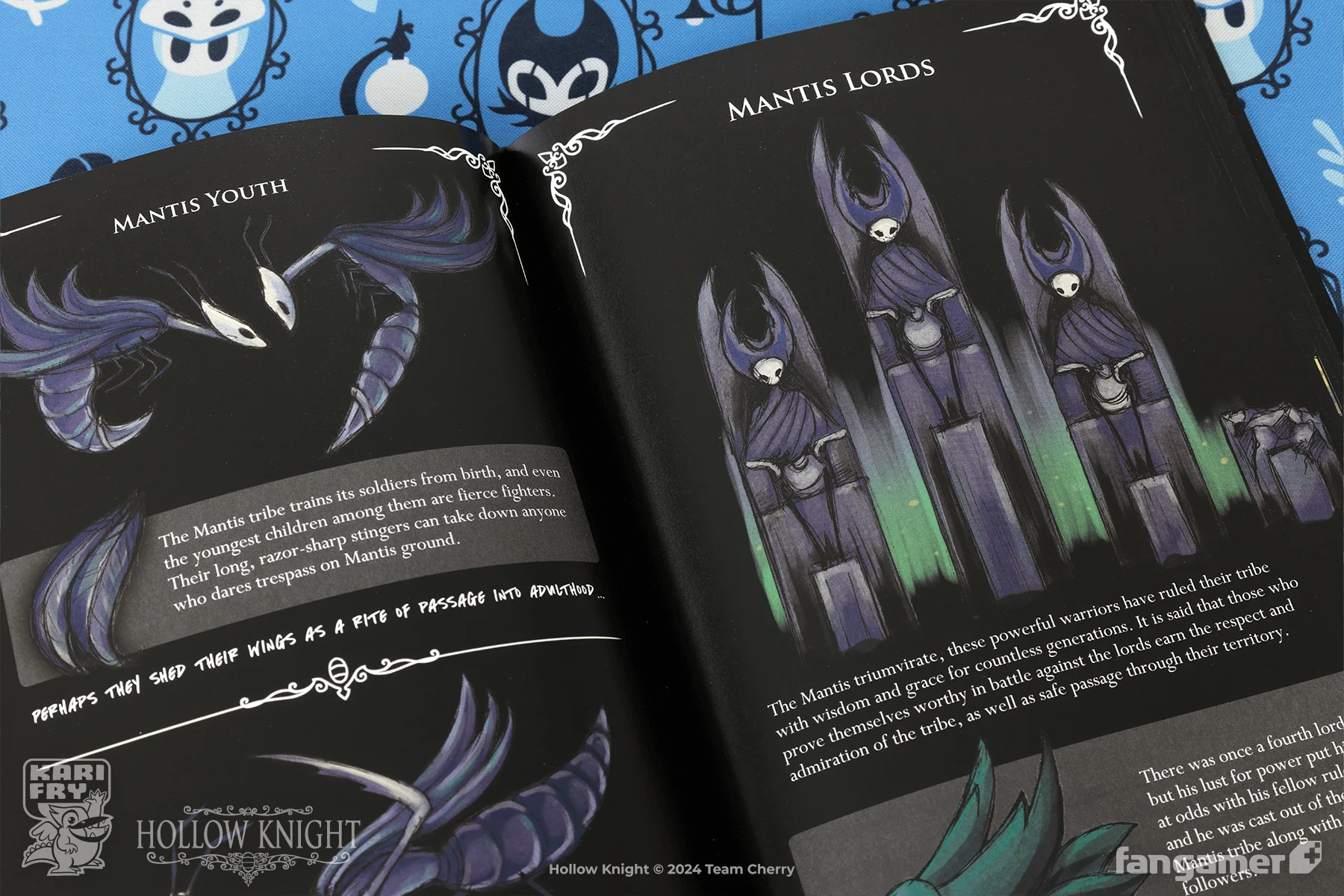 Wanderer's Journal - Image 7
