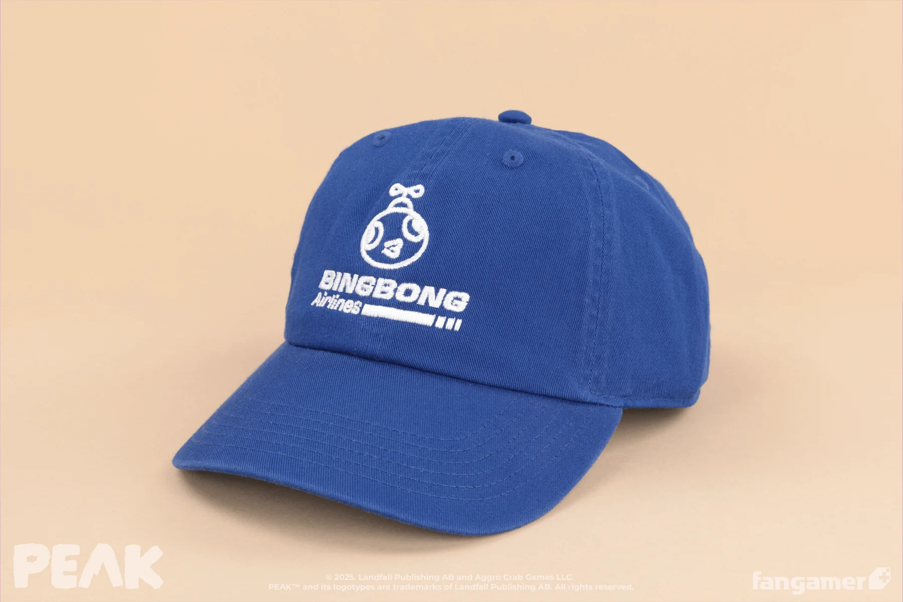 BINGBONG Airlines Hat - Image 4